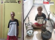 Kepincut Burung Kutilang, ES Gadaikan Kebebasannya