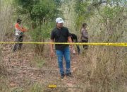 Geger!, Lagi Cari Rumput, Warga Lombok Tengah Temukan Mayat Bayi