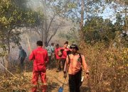 Petugas Bersama Masyarakat Berjibaku Padamkan Api di Bukit Anak Dara