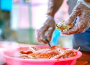 PLN NTB Dorong Penguatan Ekonomi Lokal Melalui Olahan Kepiting dan Kopi Mangrove