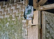 Desember 2024, Ini Besar Tarif Listrik PLN sejak Oktober – Desember 2024 dari Tarif Rumah Tangga, Bisnis, Industri, hingga Kantor Pemerintahan