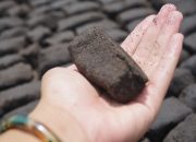 Target Nett Zero Emission 2060, PLN NTB Dorong Pemanfaatan Biomassa