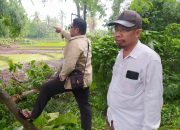 Dua Jempol!, Warga Denggen Timur Buka Jalan Swadaya Sepanjang 3.5 Kilometer