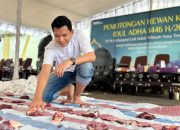 Energi Keikhlasan untuk Kuatkan Persaudaraan, PLN NTB Salurkan Segini Ekor Sapi Qurban?