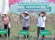 Kapolda NTB Turun ke Sawah, Panen Raya Jagung Serentak Digelar di Lombok Barat
