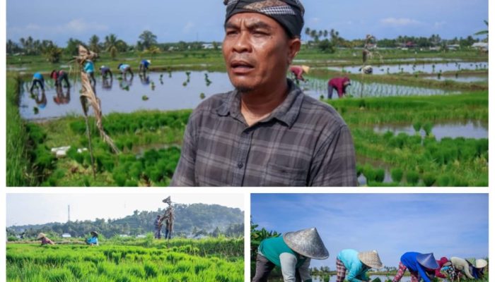 Dewasain, Doa Dibalik Usaha Petani di Desa Gondang