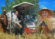 Produksi Padi 2025 Naik 16,85 Persen, NTB Optimistis Perkuat Swasembada Pangan 2026