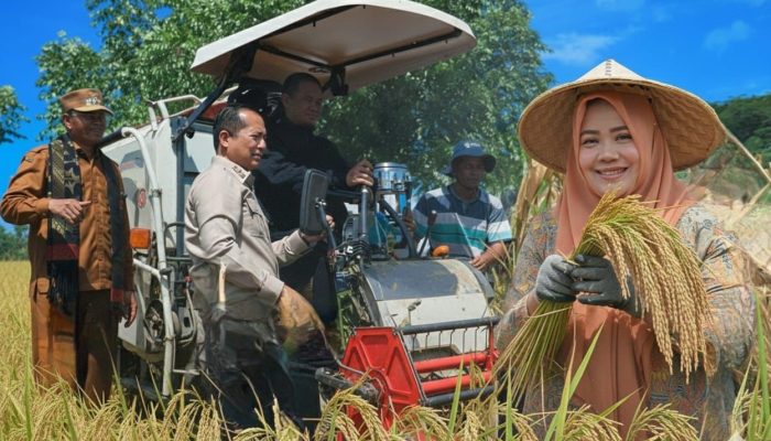 Produksi Padi 2025 Naik 16,85 Persen, NTB Optimistis Perkuat Swasembada Pangan 2026